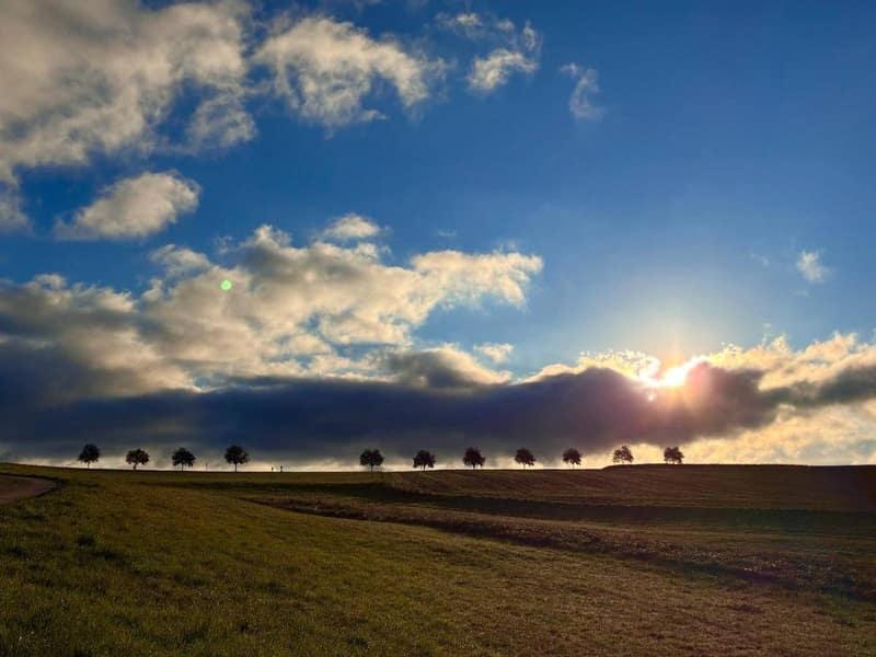 Baumreihe am Horizont im Gegenlicht der tief stehenden Sonne über den Feldern bei Wunsiedel