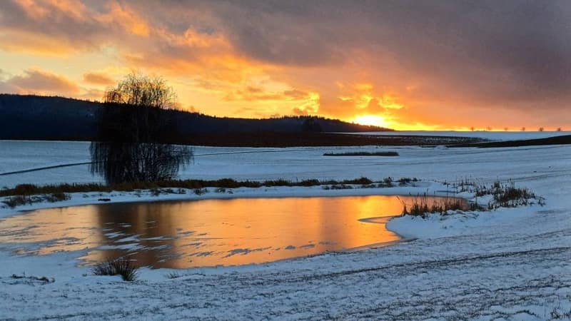 Birke am zugefrorenen Weiher, dahinter der Katharinenberg im Abendrot