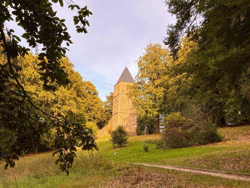 Der Turm der Katharinenkirche auf dem Berg zwischen herbstlich gefärbten Bäumen