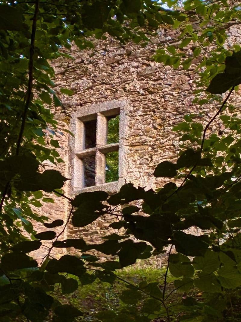 Ein gotisches Steinfenster der Kirchenruine, von Laub umrahmt